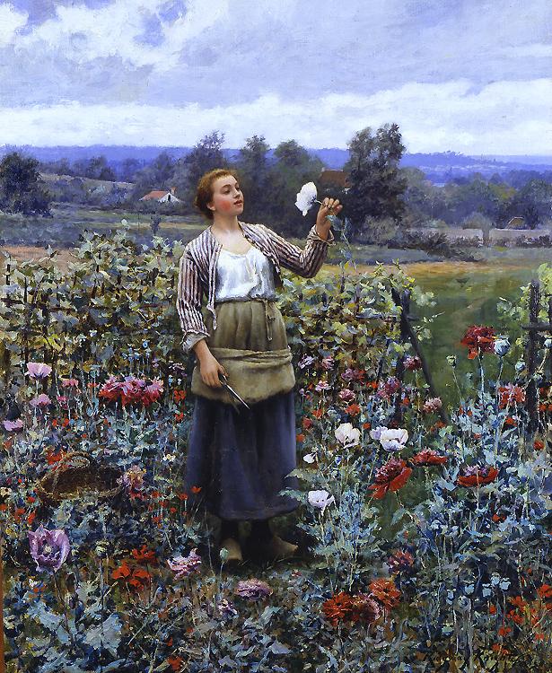 Daniel Ridgeway Knight Picking Poppies Spain oil painting art